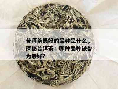 普洱茶更好的品种是什么，探秘普洱茶：哪种品种被誉为更好？