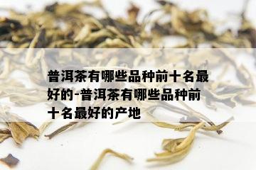 普洱茶有哪些品种前十名更好的-普洱茶有哪些品种前十名更好的产地