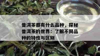 普洱茶都有什么品种，探秘普洱茶的世界：了解不同品种的特性与区别