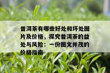 普洱茶有哪些好处和坏处图片及价格，探究普洱茶的益处与风险：一份图文并茂的价格指南