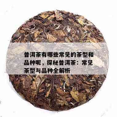 普洱茶有哪些常见的茶型和品种呢，探秘普洱茶：常见茶型与品种全解析