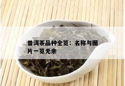 普洱茶品种全览：名称与图片一览无余