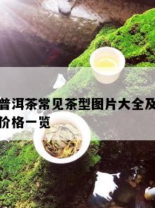 普洱茶常见茶型图片大全及价格一览