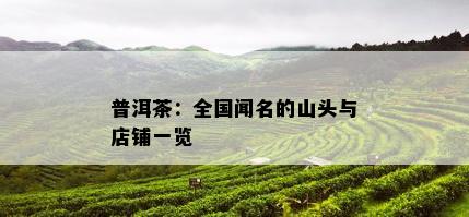 普洱茶：全国闻名的山头与店铺一览