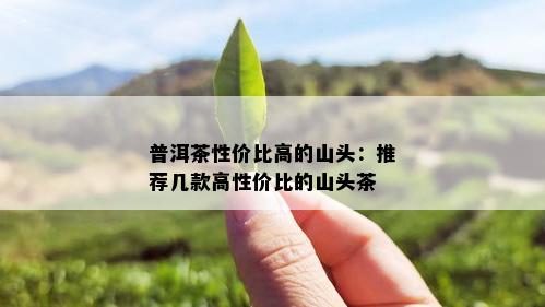 普洱茶性价比高的山头：推荐几款高性价比的山头茶