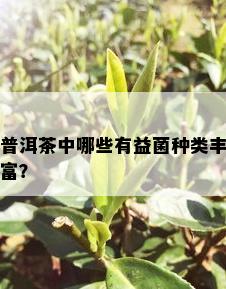 普洱茶中哪些有益菌种类丰富？