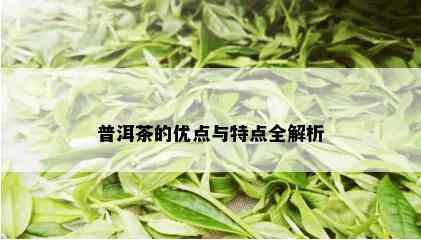 普洱茶的优点与特点全解析