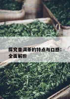 探究普洱茶的特点与口感：全面解析