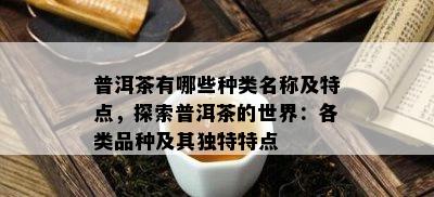 普洱茶有哪些种类名称及特点，探索普洱茶的世界：各类品种及其独特特点