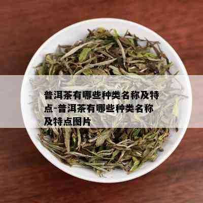 普洱茶有哪些种类名称及特点-普洱茶有哪些种类名称及特点图片