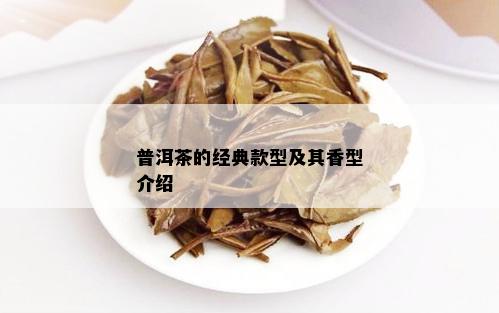 普洱茶的经典款型及其香型介绍