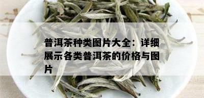 普洱茶种类图片大全：详细展示各类普洱茶的价格与图片