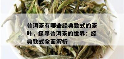 普洱茶有哪些经典款式的茶叶，探寻普洱茶的世界：经典款式全面解析