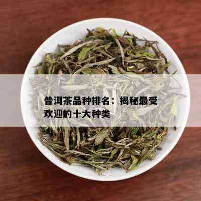 普洱茶品种排名：揭秘更受欢迎的十大种类