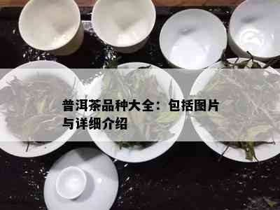 普洱茶品种大全：包括图片与详细介绍