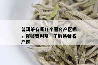 普洱茶有哪几个著名产区呢，探秘普洱茶：了解其著名产区