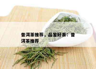 普洱茶推荐，品鉴好茶：普洱茶推荐