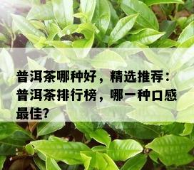 普洱茶哪种好，精选推荐：普洱茶排行榜，哪一种口感更佳？