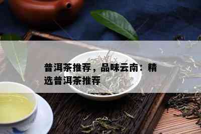 普洱茶推荐，品味云南：精选普洱茶推荐