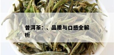 普洱茶：、品质与口感全解析