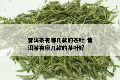 普洱茶有哪几款的茶叶-普洱茶有哪几款的茶叶好