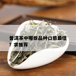 普洱茶中哪些品种口感更佳？求推荐