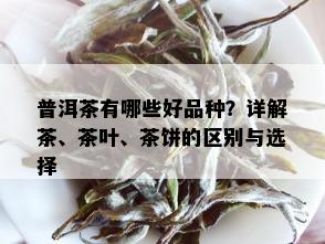 普洱茶有哪些好品种？详解茶、茶叶、茶饼的区别与选择