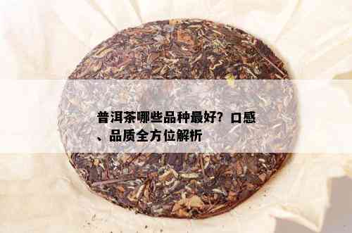 普洱茶哪些品种更好？口感、品质全方位解析