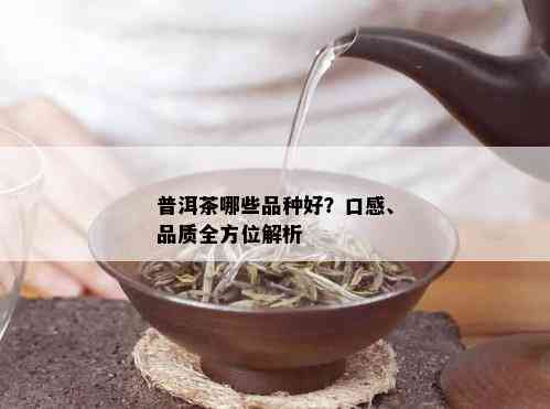 普洱茶哪些品种好？口感、品质全方位解析