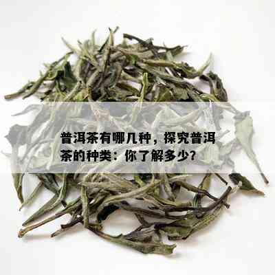 普洱茶有哪几种，探究普洱茶的种类：你了解多少？