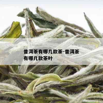 普洱茶有哪几款茶-普洱茶有哪几款茶叶