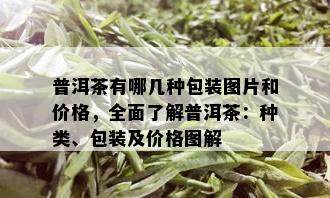 普洱茶有哪几种包装图片和价格，全面了解普洱茶：种类、包装及价格图解