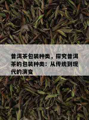 普洱茶包装种类，探究普洱茶的包装种类：从传统到现代的演变