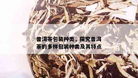 普洱茶包装种类，探究普洱茶的多样包装种类及其特点