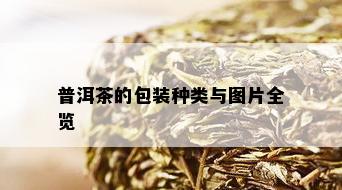 普洱茶的包装种类与图片全览