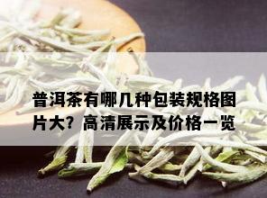 普洱茶有哪几种包装规格图片大？高清展示及价格一览