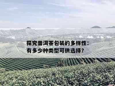 探究普洱茶包装的多样性：有多少种类型可供选择?