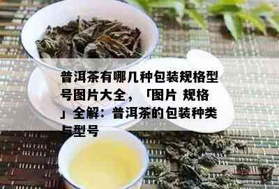 普洱茶有哪几种包装规格型号图片大全，「图片 规格」全解：普洱茶的包装种类与型号