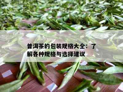 普洱茶的包装规格大全：了解各种规格与选择建议