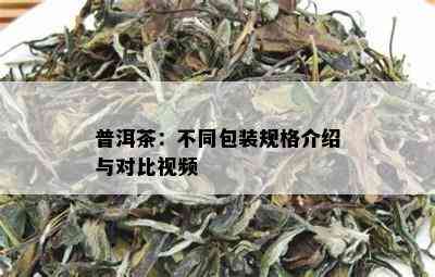 普洱茶：不同包装规格介绍与对比视频