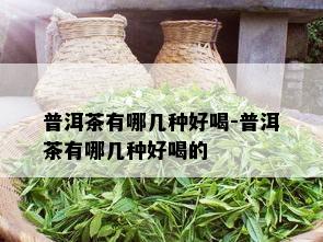 普洱茶有哪几种好喝-普洱茶有哪几种好喝的