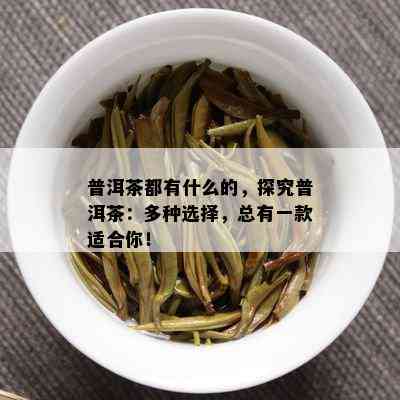 普洱茶都有什么的，探究普洱茶：多种选择，总有一款适合你！