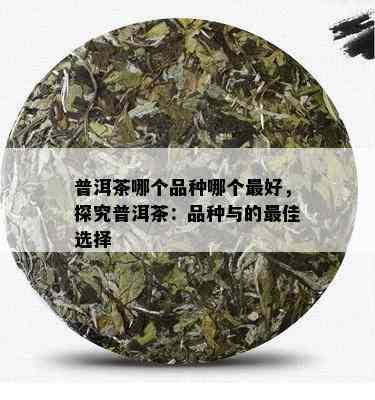 普洱茶哪个品种哪个更好，探究普洱茶：品种与的更佳选择