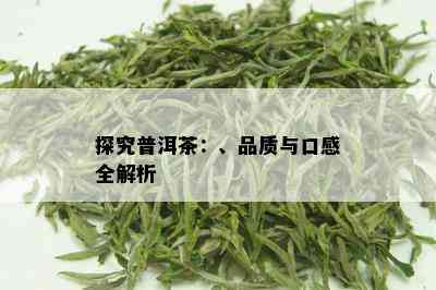 探究普洱茶：、品质与口感全解析