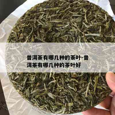 普洱茶有哪几种的茶叶-普洱茶有哪几种的茶叶好