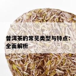 普洱茶的常见类型与特点：全面解析