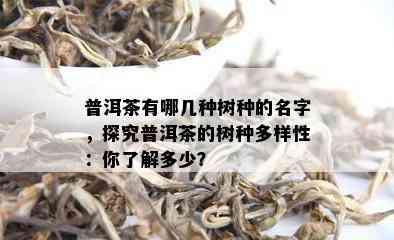 普洱茶有哪几种树种的名字，探究普洱茶的树种多样性：你了解多少？