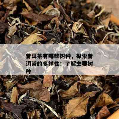 普洱茶有哪些树种，探索普洱茶的多样性：了解主要树种