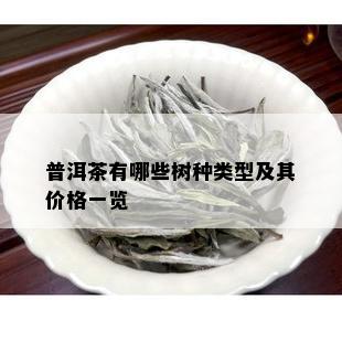 普洱茶有哪些树种类型及其价格一览