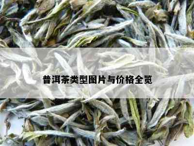 普洱茶类型图片与价格全览